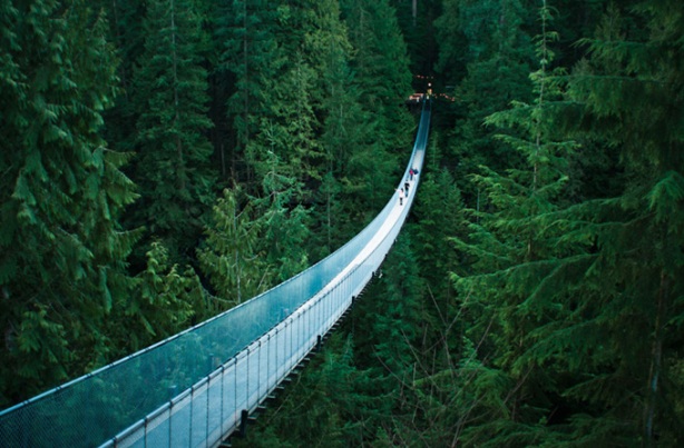 Most Amazing Pictures - Capilano Suspension Bridge, Vancouver, British Columbia